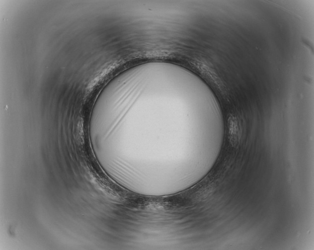 X0000102780684200809021053