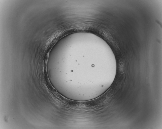 X0000102780685200809021053