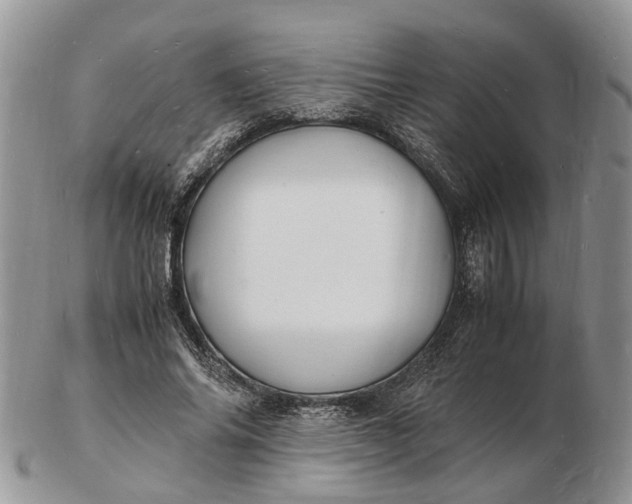 X0000102780686200809021053