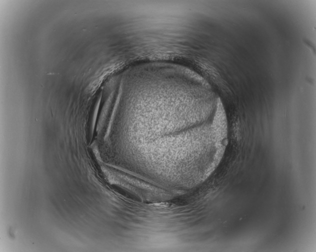 X0000102780687200809021053