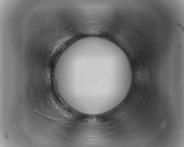 X0000102780688200809021053