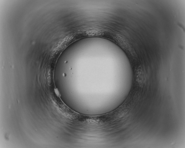 X0000102780690200809021052