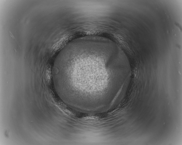 X0000102780691200809021052