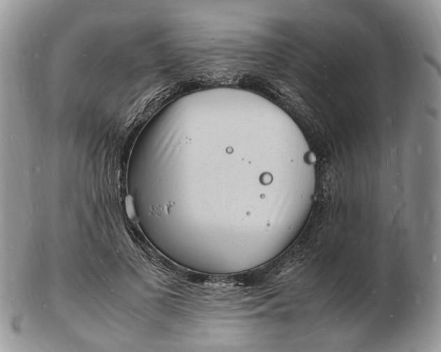 X0000102780693200809021052