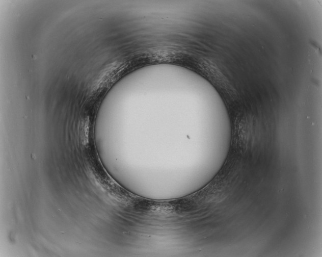 X0000102780694200809021052