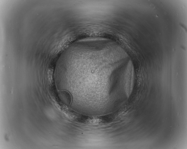 X0000102780695200809021052