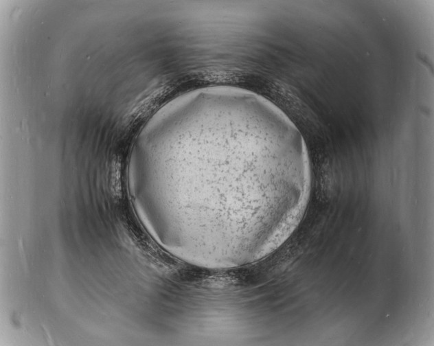 X0000102780696200809021052