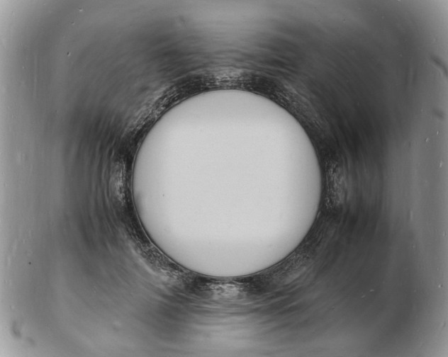 X0000102780698200809021052