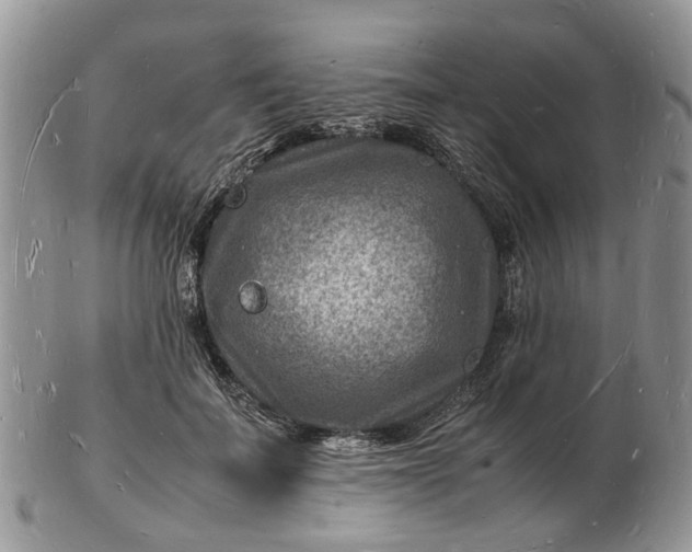 X0000102780699200809021052