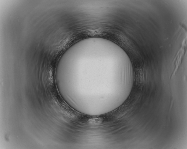 X0000102780700200809021052