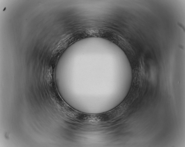 X0000102780702200809021052