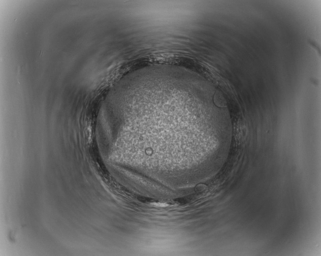 X0000102780703200809021052