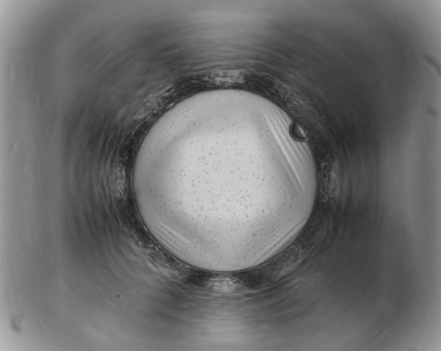 X0000102780704200809021052