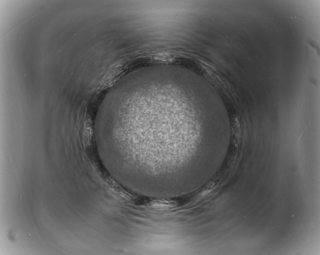 X0000102780707200809021052