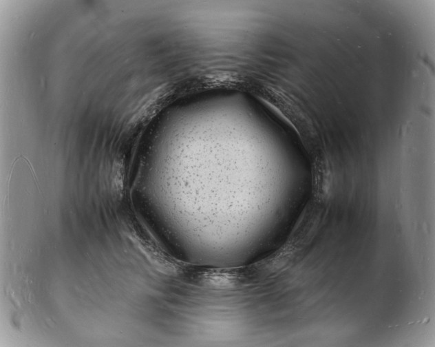 X0000102780710200809021052