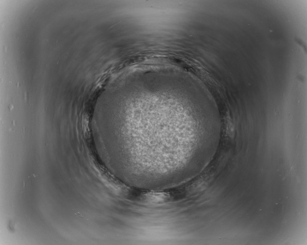 X0000102780711200809021052