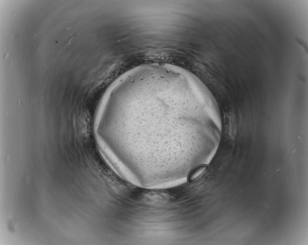 X0000102780712200809021052