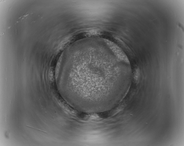 X0000102780715200809021052