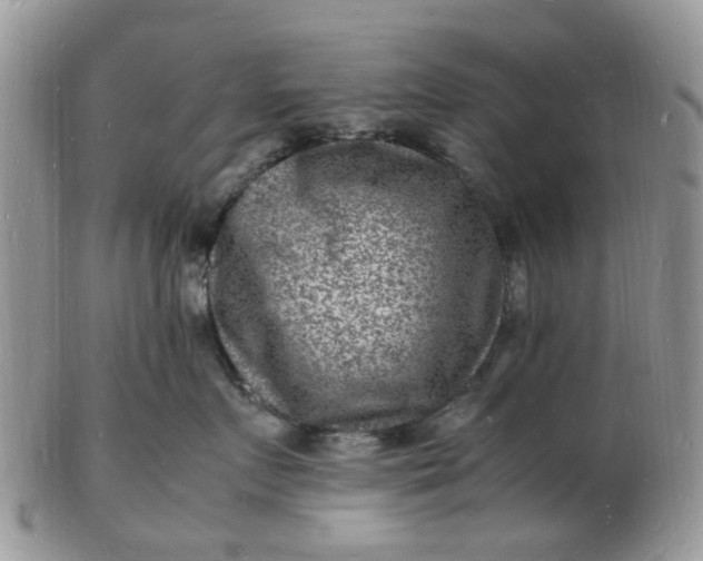 X0000102780719200809021052