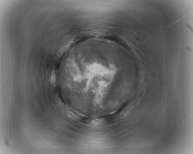 X0000102780720200809021052