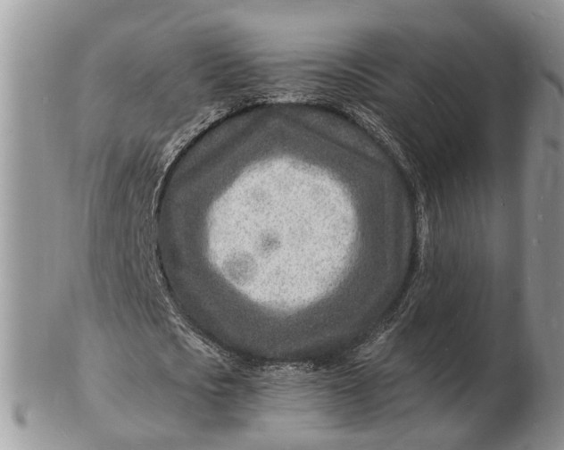 X0000102780721200809021051