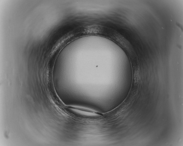 X0000102780722200809021051