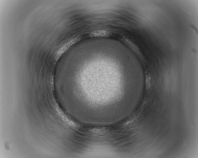 X0000102780725200809021051