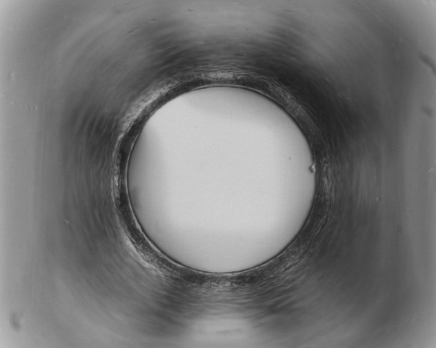 X0000102780728200809021051