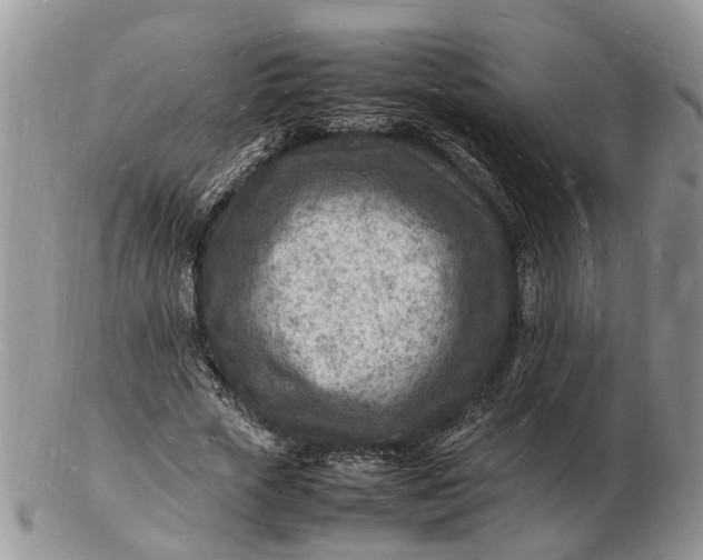 X0000102780729200809021052