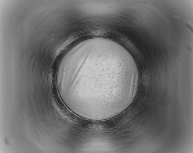 X0000102780730200809021052