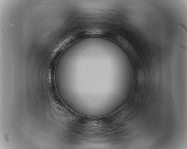 X0000102780731200809021052