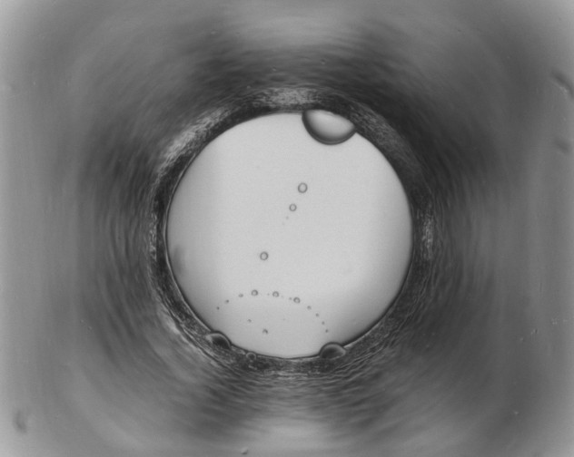 X0000102780732200809021052