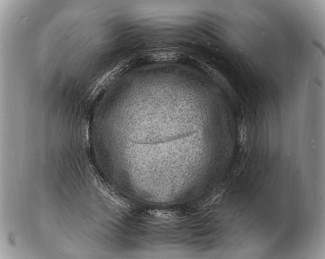 X0000102780733200809021052