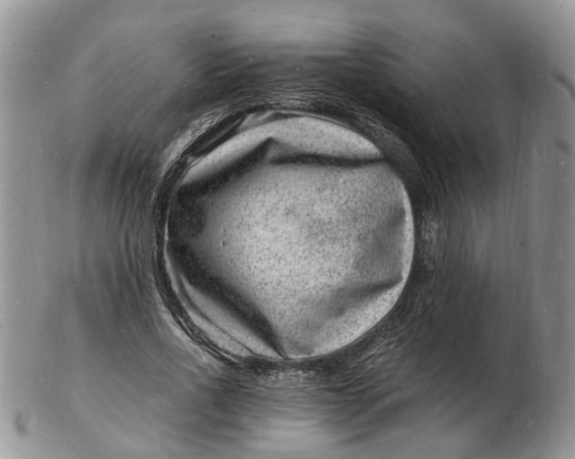 X0000102780734200809021052