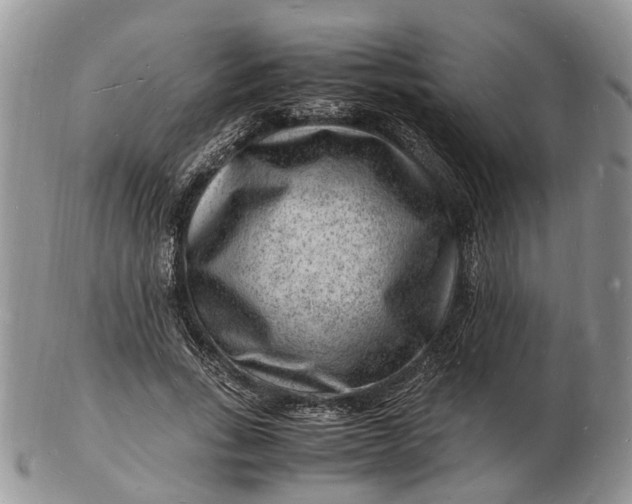 X0000102780735200809021052