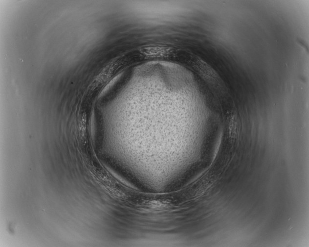 X0000102780737200809021052