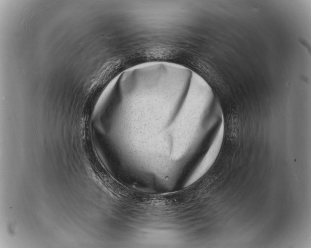 X0000102780738200809021052