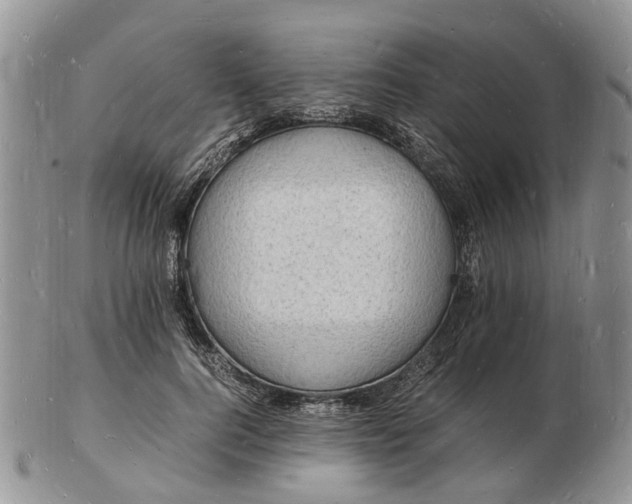 X0000102780744200809021052