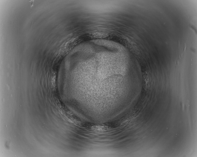 X0000102780745200809021052