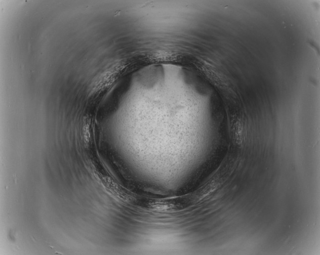 X0000102780746200809021052