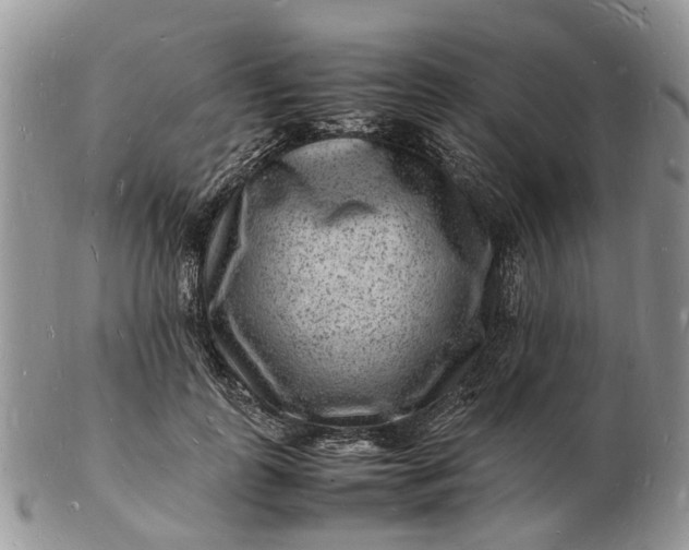 X0000102780747200809021052