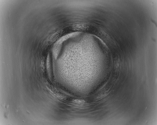 X0000102780749200809021052