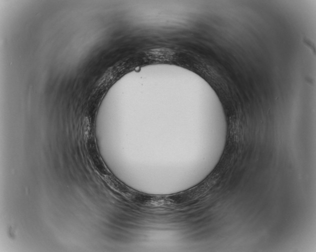 X0000102780752200809021052