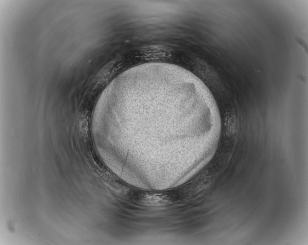 X0000102780753200809021052