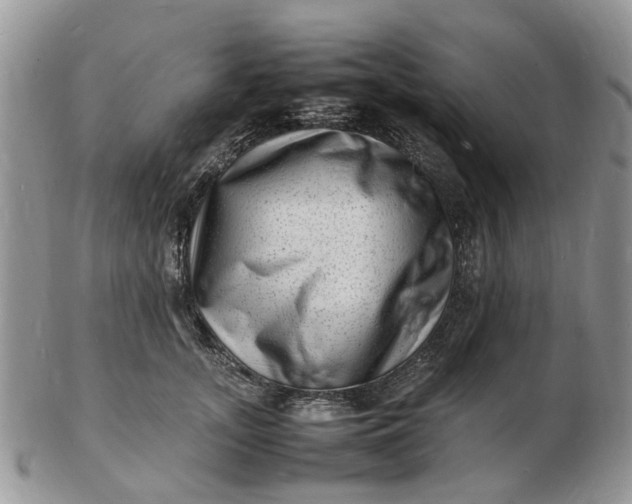 X0000102780755200809021052