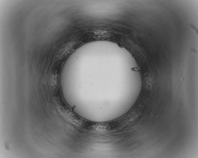 X0000102780756200809021052