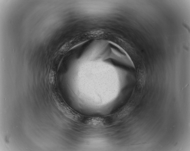 X0000102780758200809021052