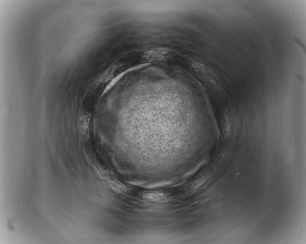 X0000102780759200809021052