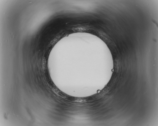 X0000102780760200809021052