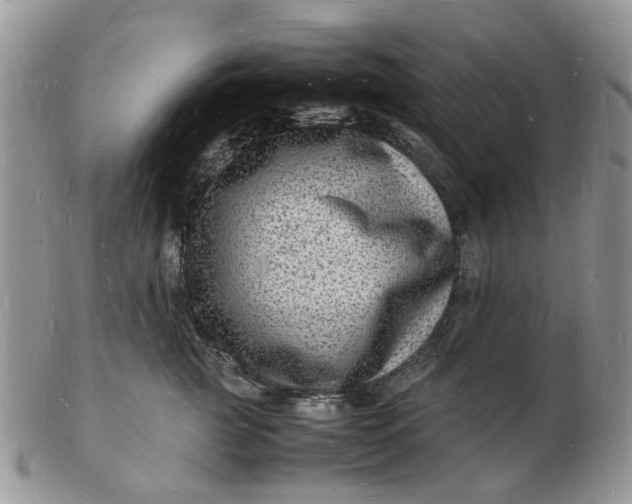 X0000102780761200809021052